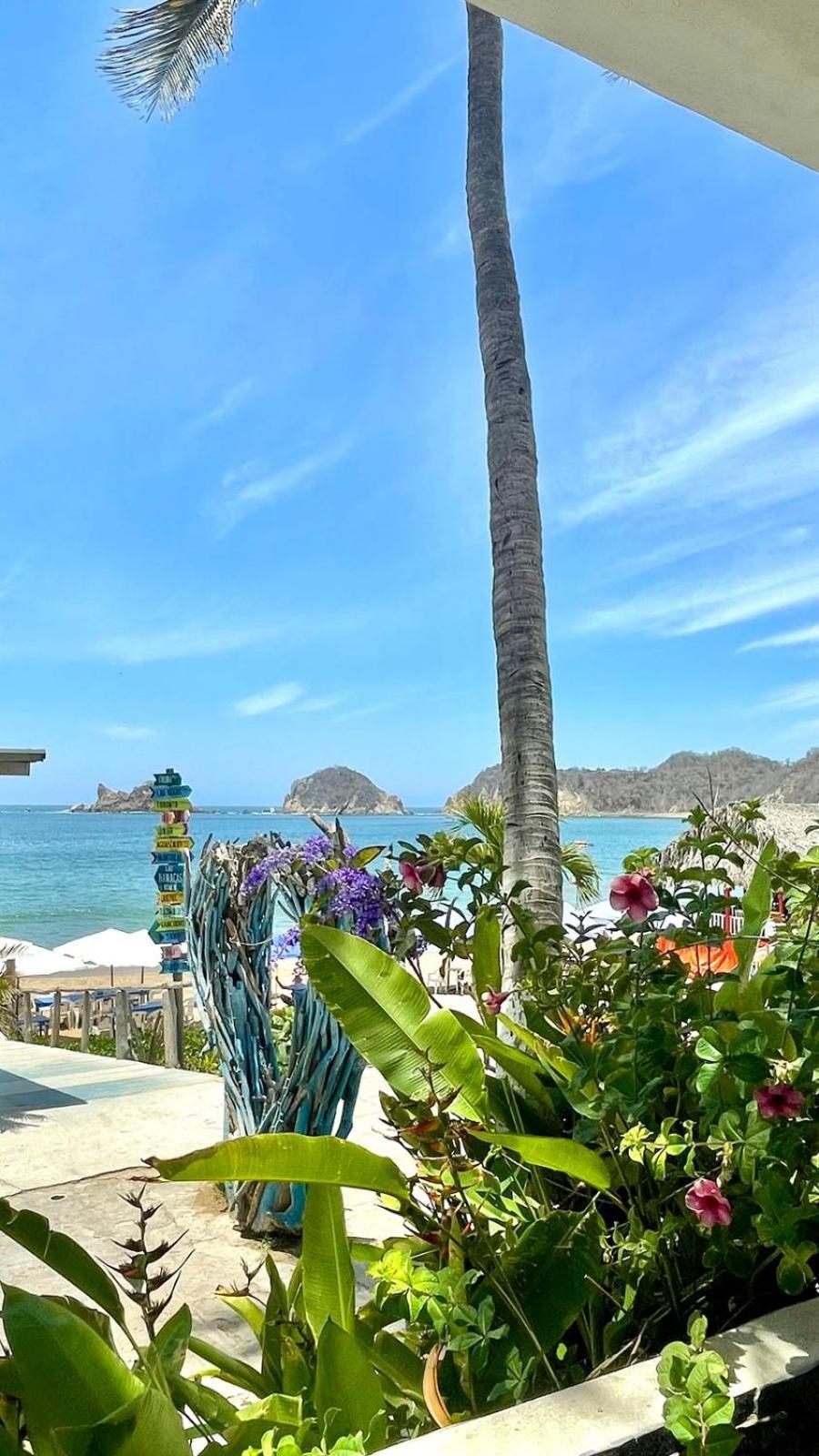 Hamacas Hotel 4*